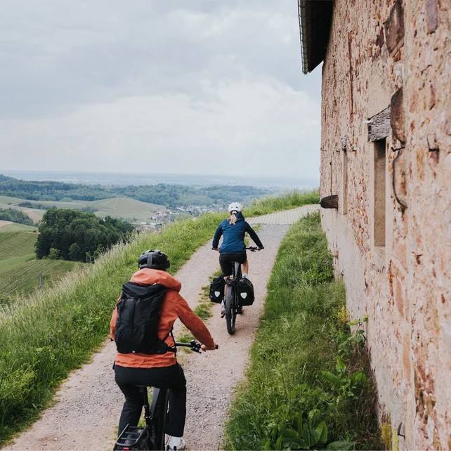 csm_Bosch-eBike-Leisure-PX-Blackforest-MY2026-_JM02727-2_01e20020df